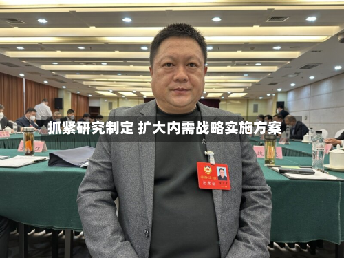 抓紧研究制定 扩大内需战略实施方案-第2张图片