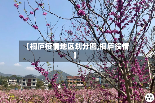 【桐庐疫情地区划分图,桐庐役情】