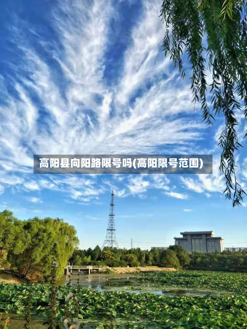 高阳县向阳路限号吗(高阳限号范围)-第2张图片