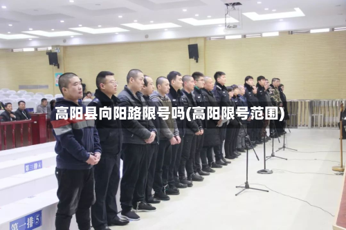 高阳县向阳路限号吗(高阳限号范围)