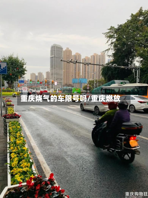 重庆烧气的车限号吗/重庆燃放