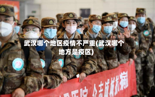 武汉哪个地区疫情不严重(武汉哪个地方是疫区)