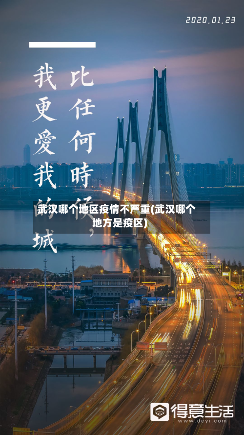 武汉哪个地区疫情不严重(武汉哪个地方是疫区)-第2张图片