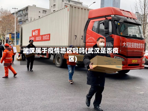 武汉属于疫情地区吗吗(武汉是否疫区)