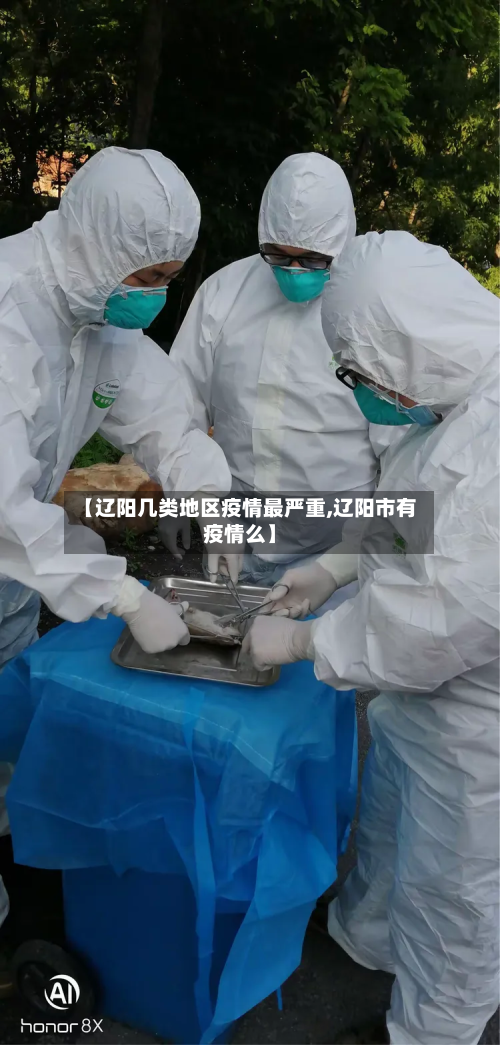 【辽阳几类地区疫情最严重,辽阳市有疫情么】-第2张图片
