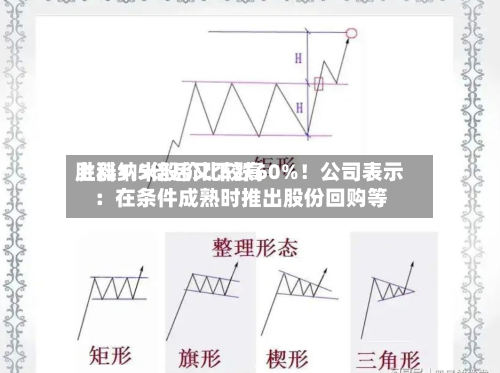 胜科纳米股价比较高上涨1.5倍后又下跌60%！公司表示：在条件成熟时推出股份回购等