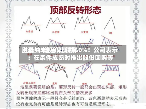 胜科纳米股价比较高上涨1.5倍后又下跌60%！公司表示：在条件成熟时推出股份回购等-第2张图片