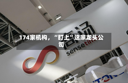 174家机构	，“盯上”这家龙头公司-第3张图片
