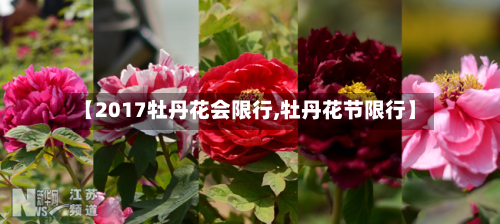 【2017牡丹花会限行,牡丹花节限行】-第3张图片
