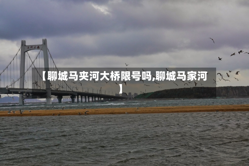 【聊城马夹河大桥限号吗,聊城马家河】