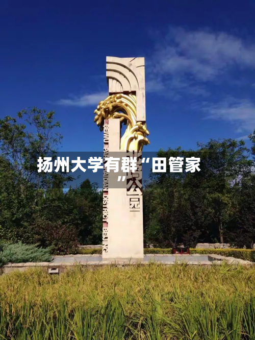 扬州大学有群“田管家	”-第2张图片