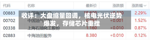 收评：大盘缩量回调，核电光伏逆势爆发	，存储芯片重挫-第2张图片