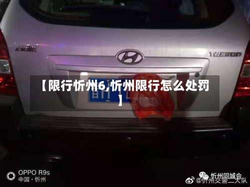 【限行忻州6,忻州限行怎么处罚】-第2张图片