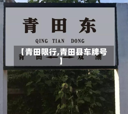 【青田限行,青田县车牌号】-第2张图片