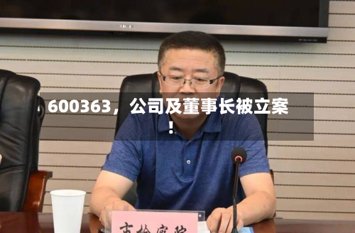 600363，公司及董事长被立案！-第3张图片