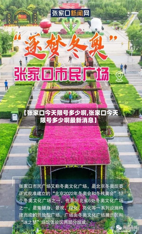 【张家口今天限号多少啊,张家口今天限号多少啊最新消息】