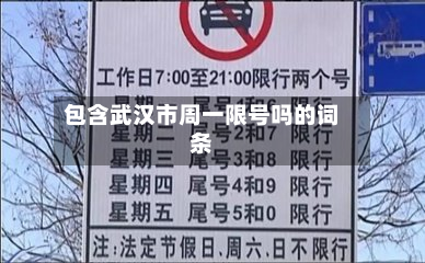 包含武汉市周一限号吗的词条