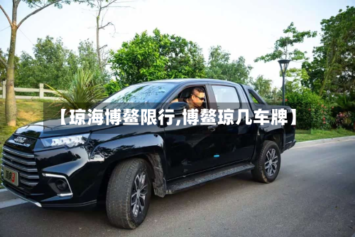 【琼海博鳌限行,博鳌琼几车牌】-第2张图片