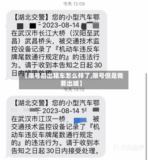 【限号后出租车怎么样了,限号但是我要出城】