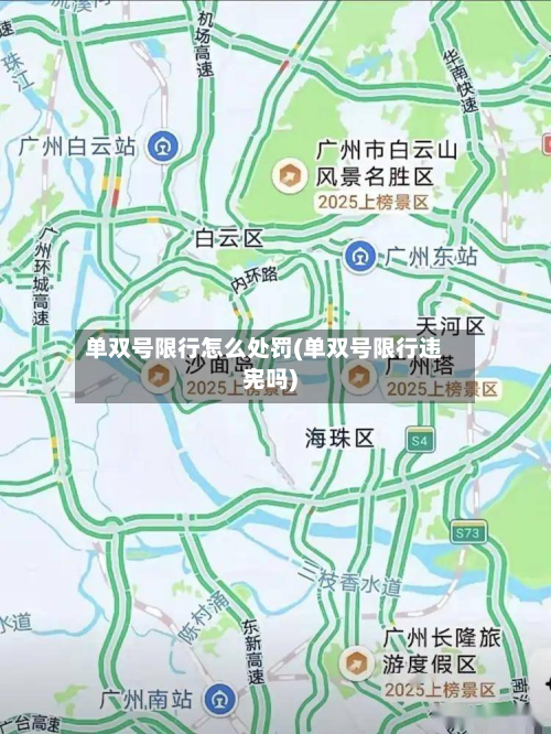 单双号限行怎么处罚(单双号限行违宪吗)