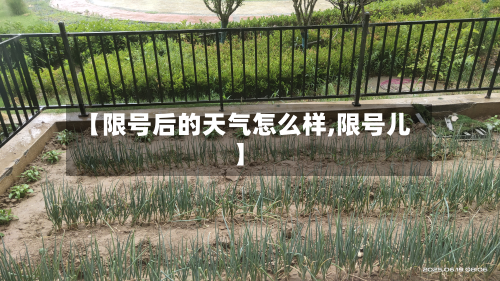 【限号后的天气怎么样,限号儿】