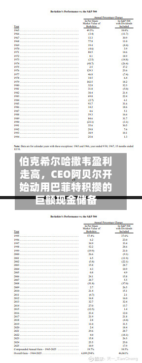 伯克希尔哈撒韦盈利走高	，CEO阿贝尔开始动用巴菲特积攒的巨额现金储备-第1张图片