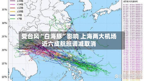 受台风“白海豚”影响 上海两大机场近六成航班调减取消-第2张图片