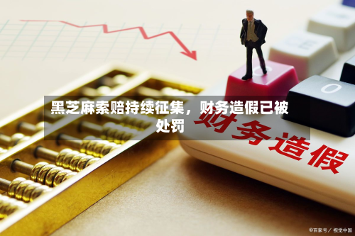 黑芝麻索赔持续征集，财务造假已被处罚-第3张图片