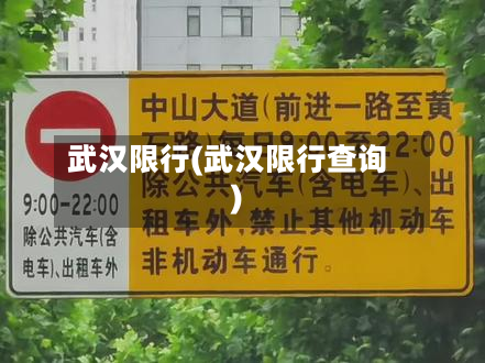 武汉限行(武汉限行查询)