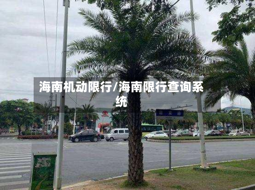 海南机动限行/海南限行查询系统