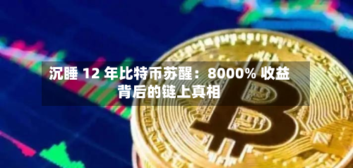 沉睡 12 年比特币苏醒:8000% 收益背后的链上真相-第2张图片