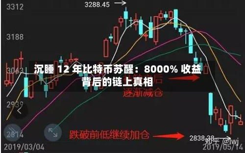 沉睡 12 年比特币苏醒:8000% 收益背后的链上真相-第1张图片