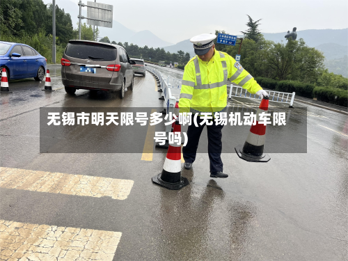 无锡市明天限号多少啊(无锡机动车限号吗)