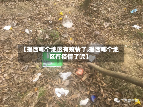 【揭西哪个地区有疫情了,揭西哪个地区有疫情了呢】