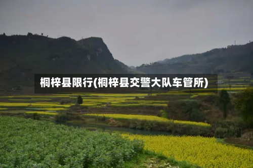 桐梓县限行(桐梓县交警大队车管所)