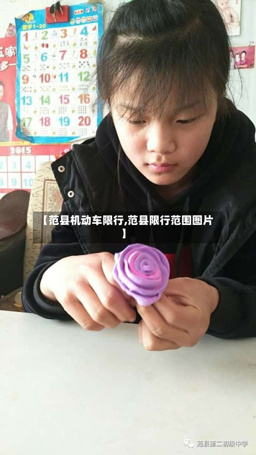 【范县机动车限行,范县限行范围图片】