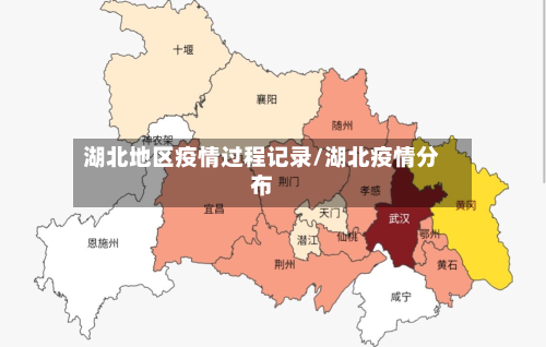 湖北地区疫情过程记录/湖北疫情分布-第2张图片