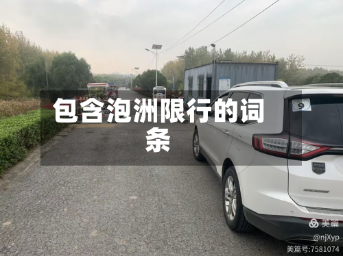 包含泡洲限行的词条