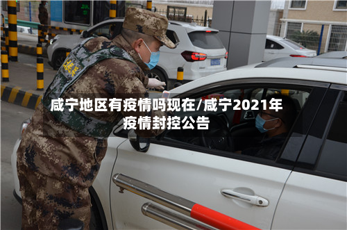 咸宁地区有疫情吗现在/咸宁2021年疫情封控公告-第2张图片