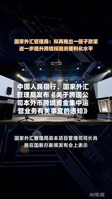 中国人民银行	、国家外汇管理局发布《关于跨国公司本外币跨境资金集中运营业务有关事宜的通知》-第3张图片