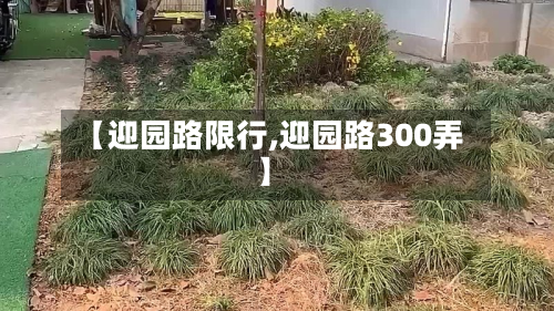 【迎园路限行,迎园路300弄】