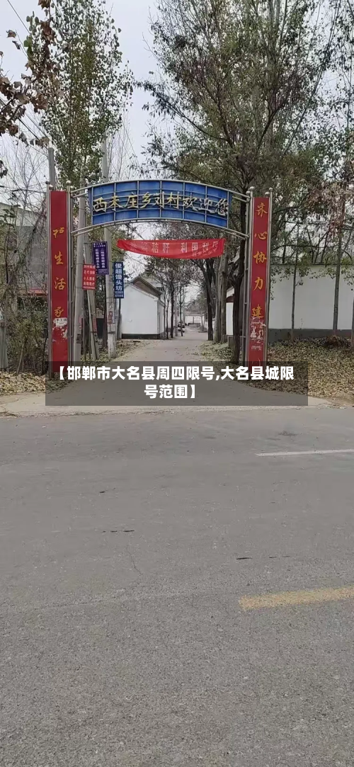 【邯郸市大名县周四限号,大名县城限号范围】