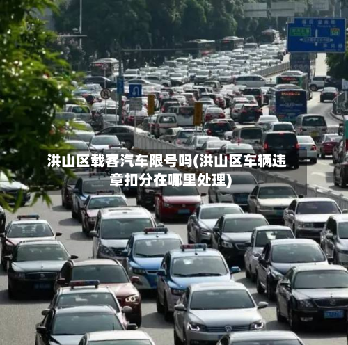 洪山区载客汽车限号吗(洪山区车辆违章扣分在哪里处理)-第2张图片