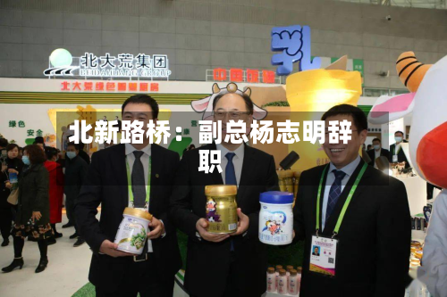 北新路桥：副总杨志明辞职-第2张图片