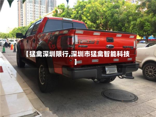 【猛禽深圳限行,深圳市猛禽智能科技】
