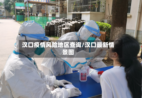 汉口疫情风险地区查询/汉口最新情景图