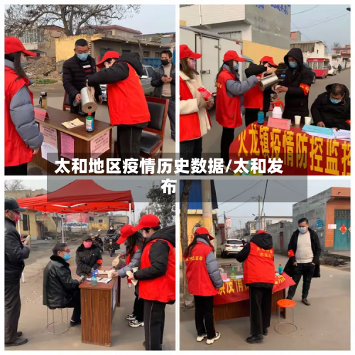 太和地区疫情历史数据/太和发布