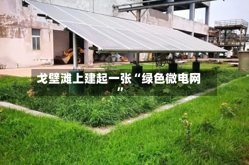 戈壁滩上建起一张“绿色微电网”