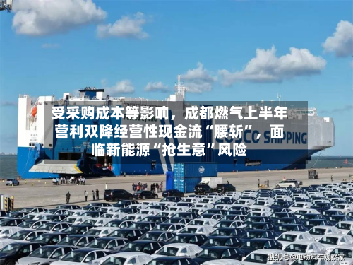 受采购成本等影响	，成都燃气上半年营利双降经营性现金流“腰斩”，面临新能源“抢生意	”风险-第1张图片