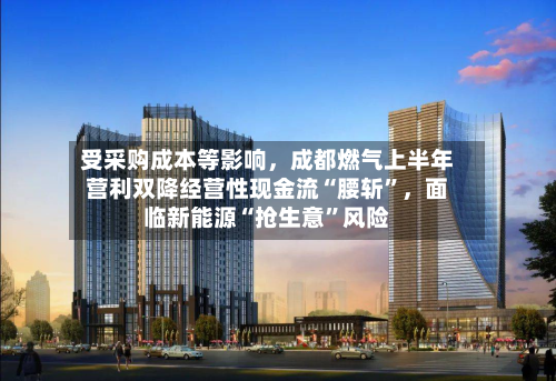 受采购成本等影响	，成都燃气上半年营利双降经营性现金流“腰斩”，面临新能源“抢生意”风险-第3张图片